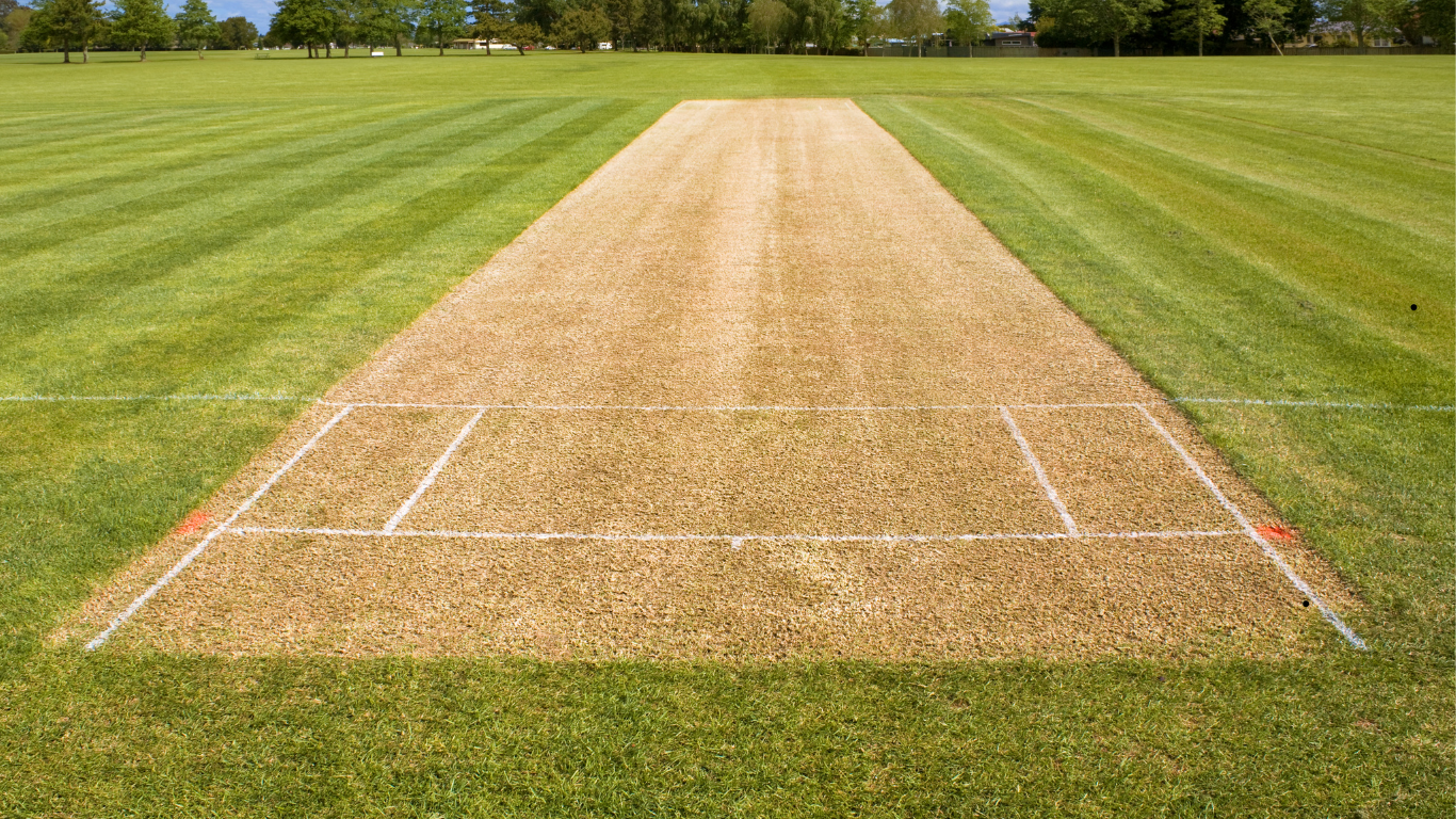 Cricket Pith